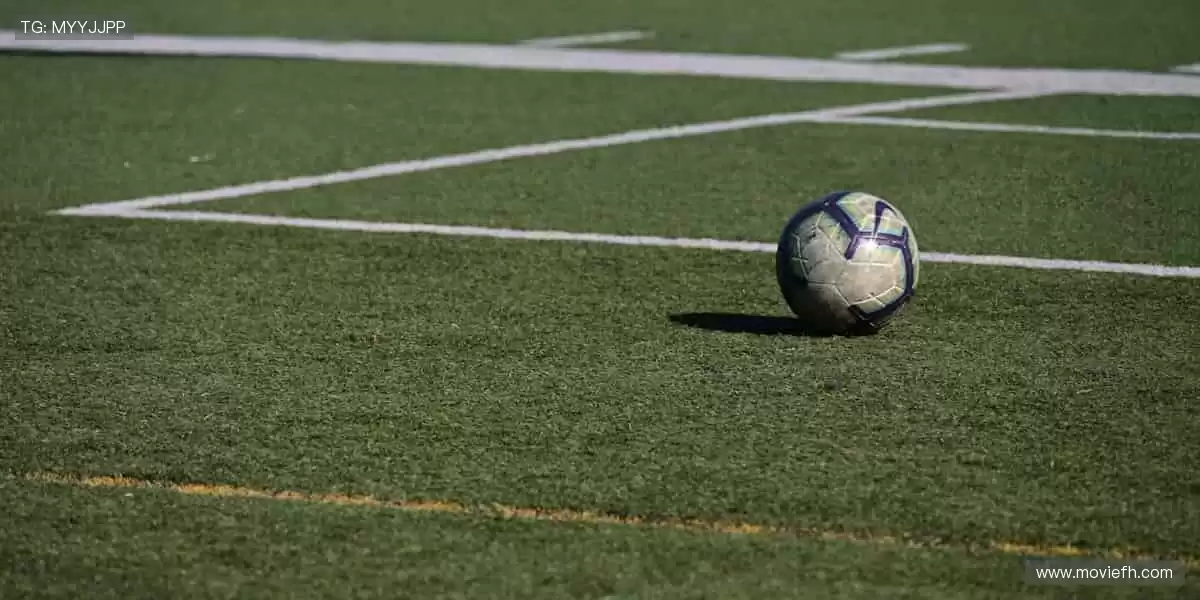 🌐📺 全球直播,同步狂欢!